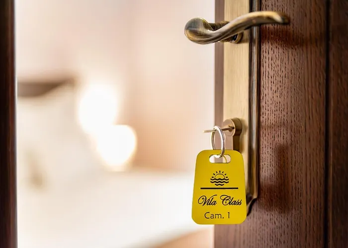 招待所 Class 艾福雷诺德